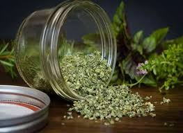 تصویر 2 از خرید و قیمت اویشن شیرازی تازه  + فروش صادراتی